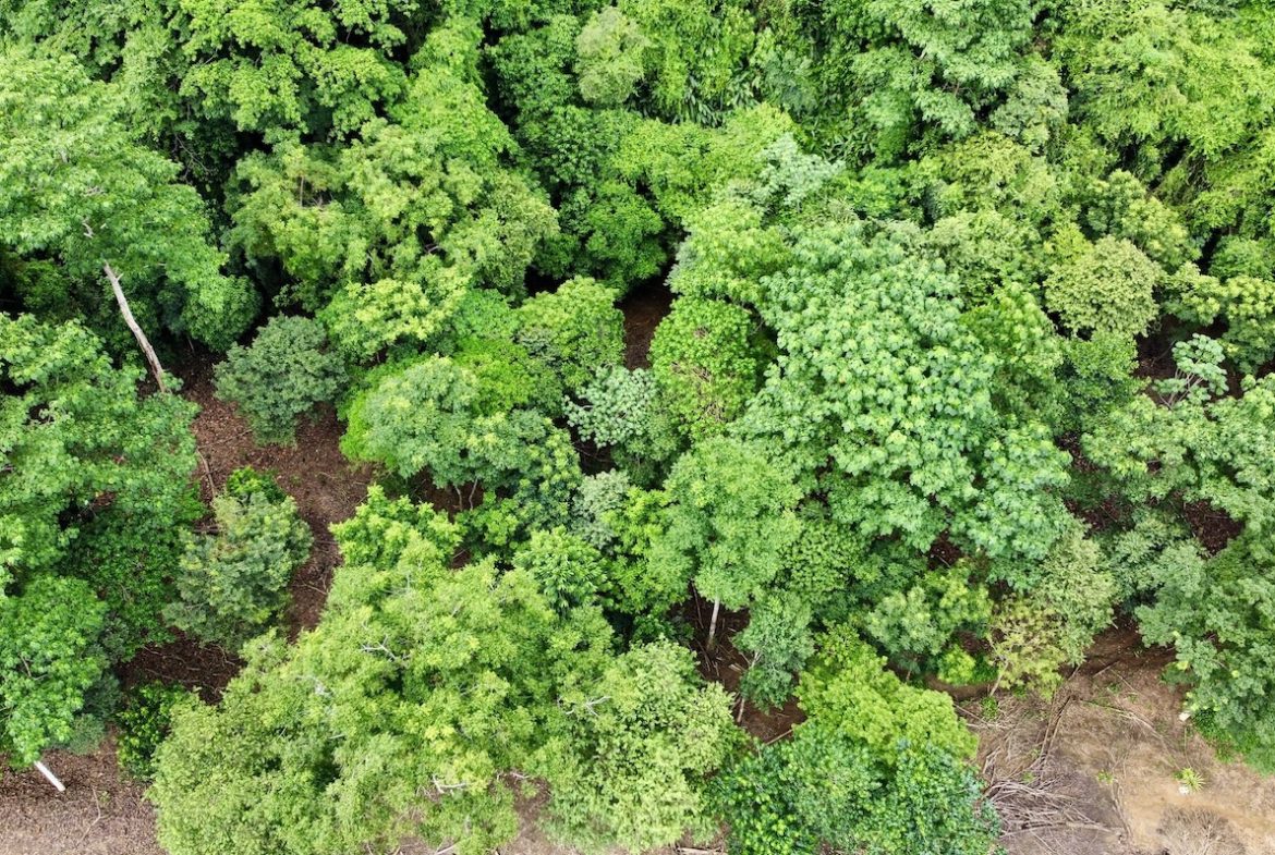BUILDING PROPERTY WITH FRONT PUBLIC ROAD VIEWS, IN CHONTALES – 0.29 ACRES