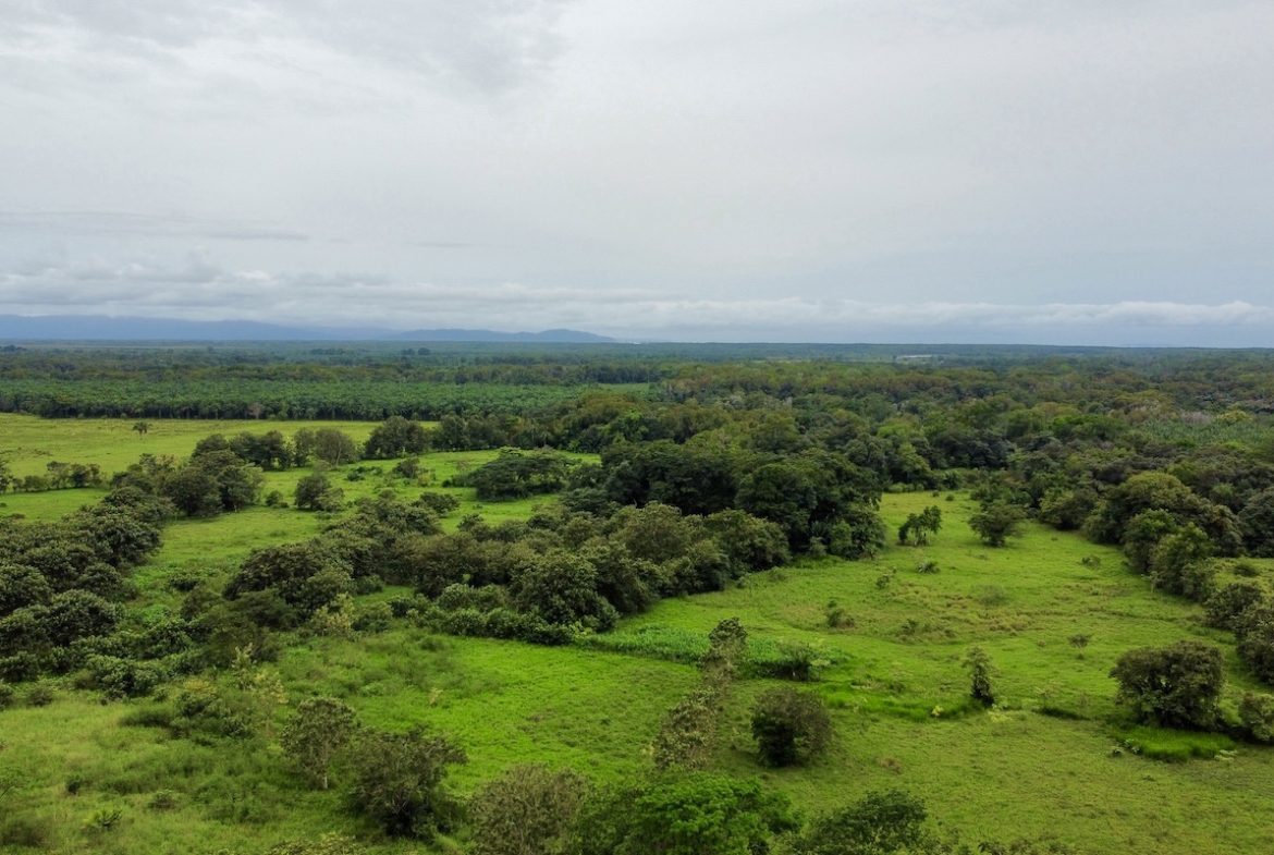 BUILDING PROPERTY WITH FRONT PUBLIC ROAD VIEWS, IN CHONTALES – 0.29 ACRES