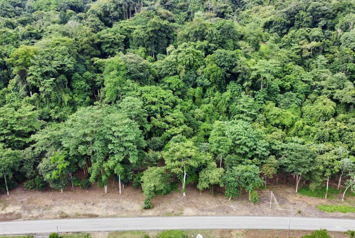 BUILDING PROPERTY WITH FRONT PUBLIC ROAD VIEWS, IN CHONTALES – 0.29 ACRES