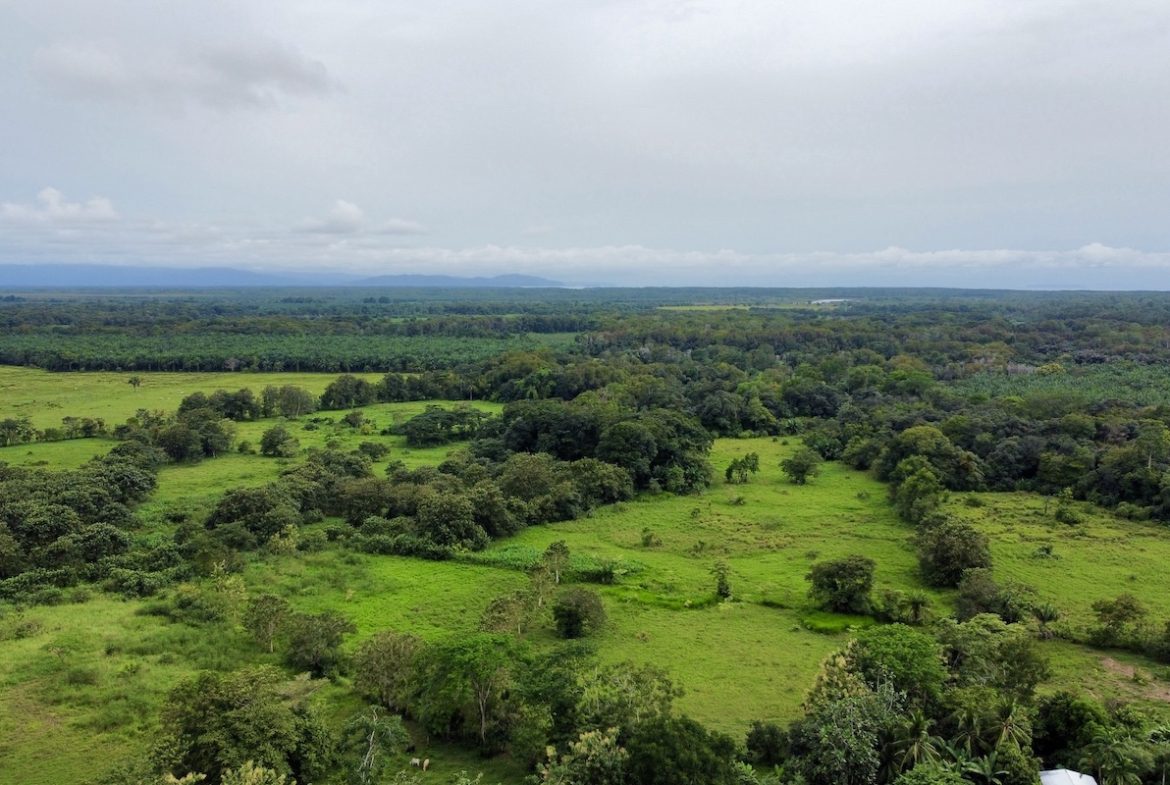 BUILDING PROPERTY WITH FRONT PUBLIC ROAD VIEWS, IN CHONTALES – 0.29 ACRES