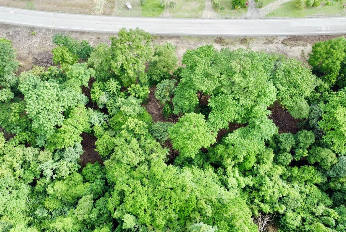 BUILDING PROPERTY WITH FRONT PUBLIC ROAD VIEWS, IN CHONTALES – 0.29 ACRES