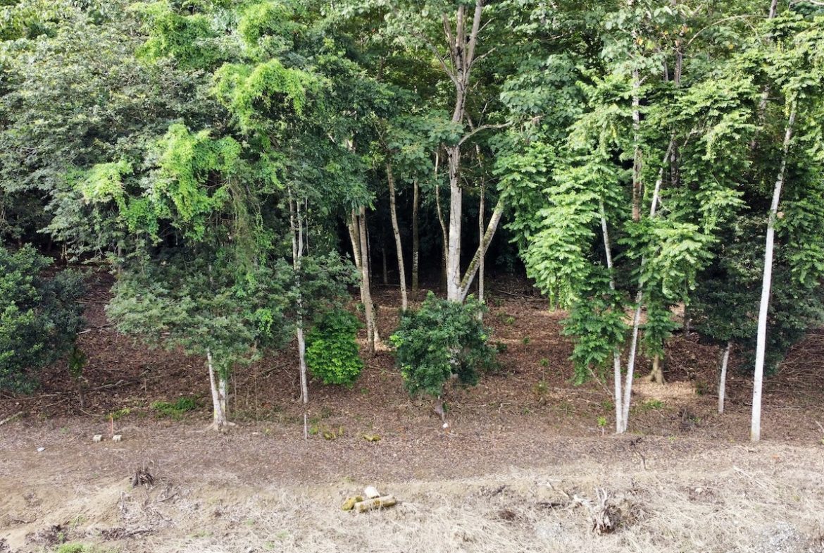 BUILDING PROPERTY WITH FRONT PUBLIC ROAD VIEWS, IN CHONTALES – 0.29 ACRES