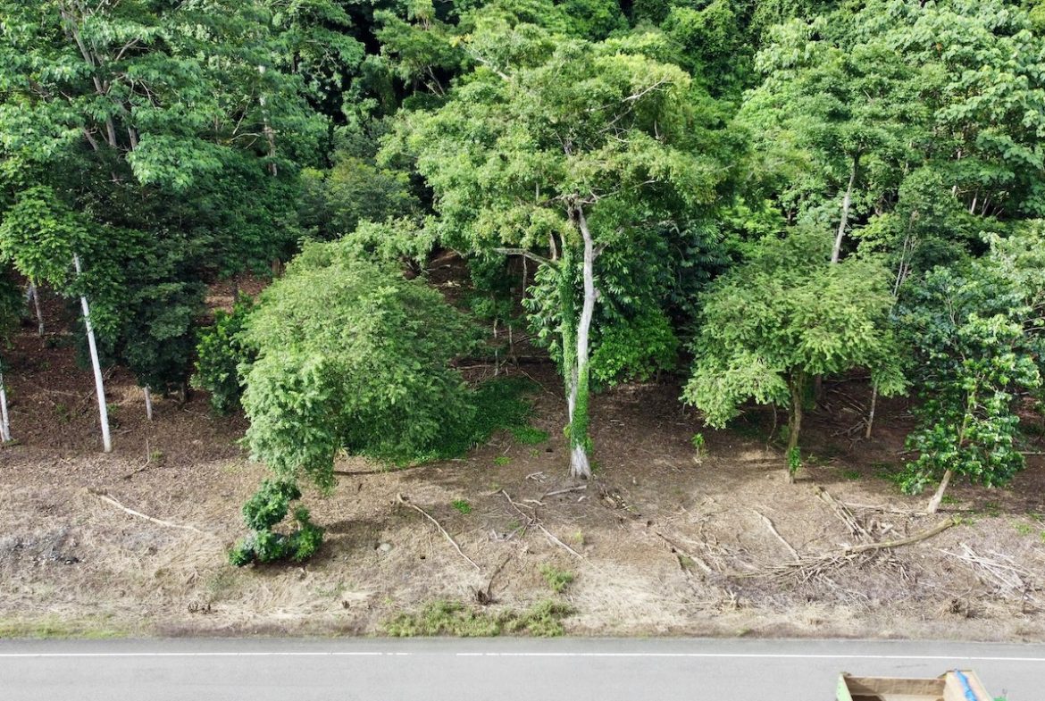 BUILDING PROPERTY WITH FRONT PUBLIC ROAD VIEWS, IN CHONTALES – 0.29 ACRES