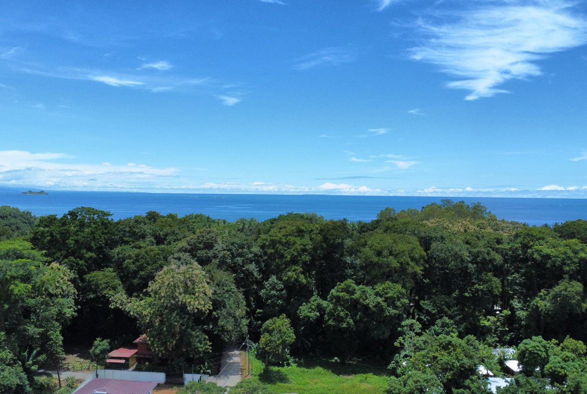 PRIME LAND OPPORTUNITY ON THE ROAD TO PLAYA CHAMAN – 0.83 ACRES, Uvita, Costa Rica — photo 6
