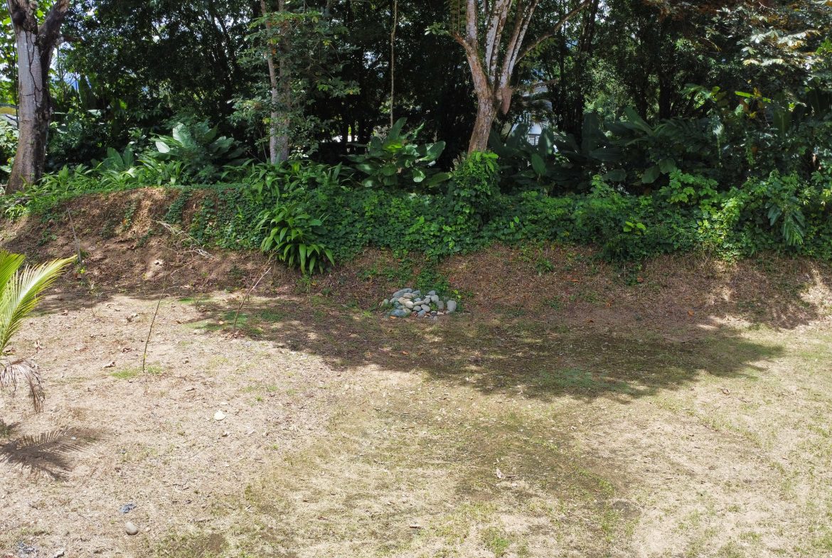 PRIME LAND OPPORTUNITY ON THE ROAD TO PLAYA CHAMAN – 0.83 ACRES