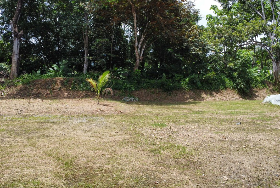 PRIME LAND OPPORTUNITY ON THE ROAD TO PLAYA CHAMAN – 0.83 ACRES