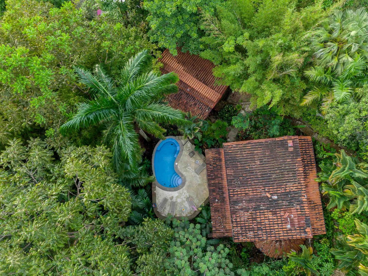 entire property drone