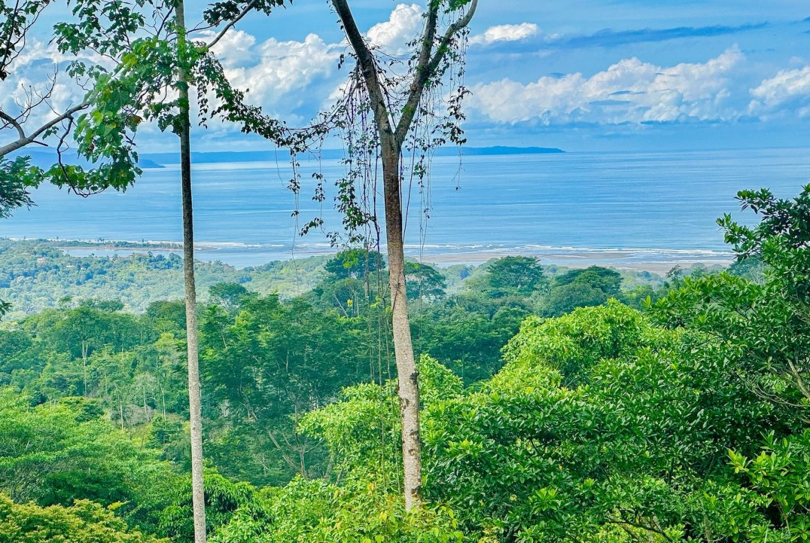 BUILDING PROPERTY WITH AMAZING PANORAMIC OF THE OCEAN, IN TORTUGA ARRIBA PHASE 6 – 0.21 ACRES