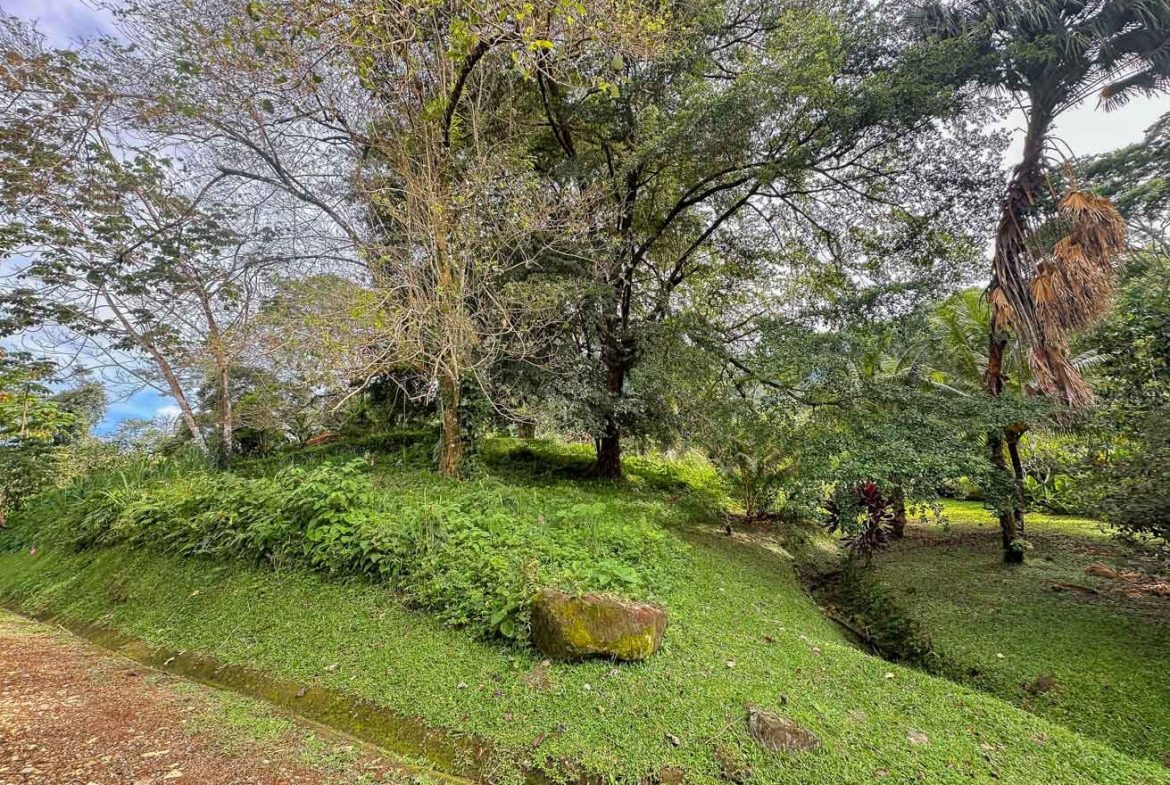 BUILDING PROPERTY WITH PUBLIC ROAD IN FRONT, IN TORTUGA ARRIBA – 0.16 ACRES
