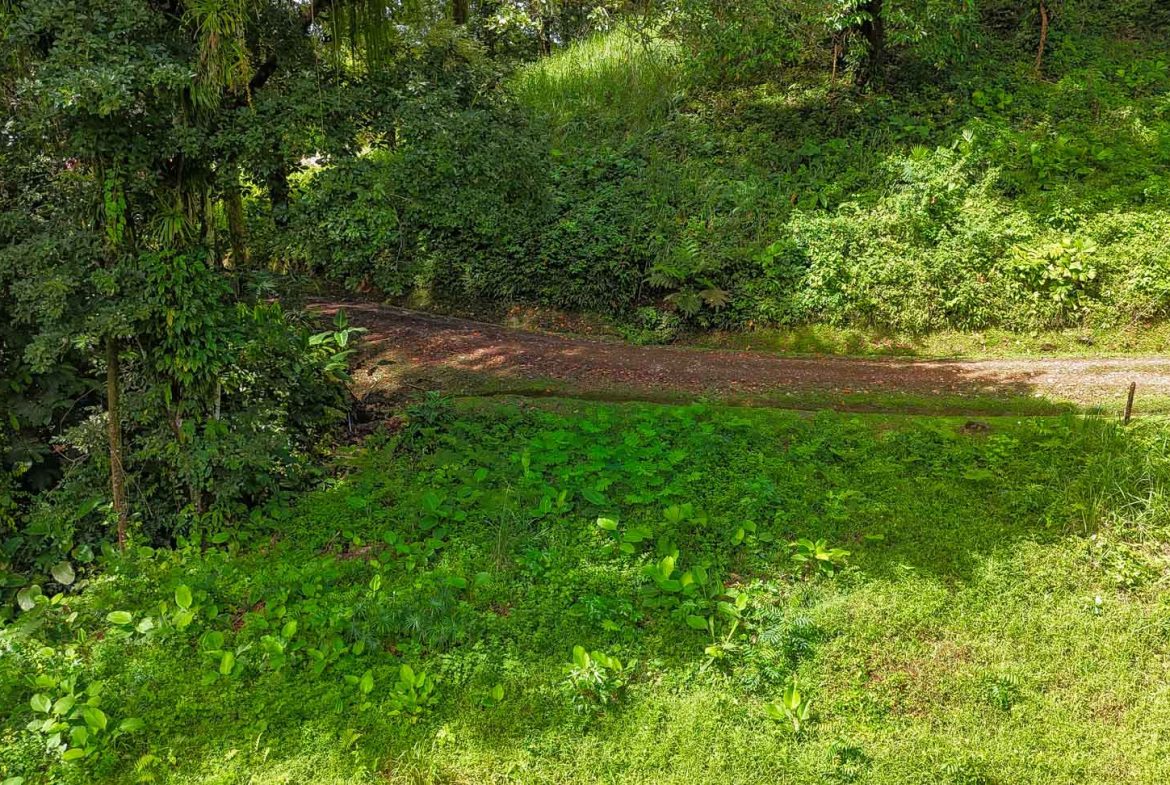 BUILDING PROPERTY WITH PUBLIC ROAD IN FRONT AND FRUIT TREES, IN TORTUGA ARRIBA – 0.30 ACRES