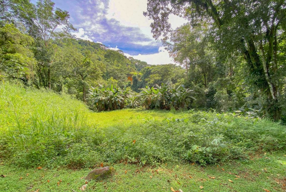 BUILDING PROPERTY WITH PUBLIC ROAD IN FRONT AND FRUIT TREES, IN TORTUGA ARRIBA – 0.30 ACRES