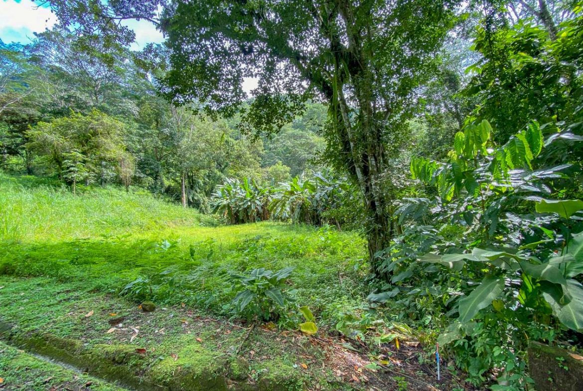 BUILDING PROPERTY WITH PUBLIC ROAD IN FRONT AND FRUIT TREES, IN TORTUGA ARRIBA – 0.30 ACRES