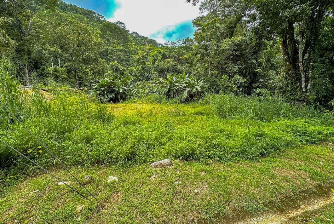 BUILDING PROPERTY WITH PUBLIC ROAD IN FRONT AND FRUIT TREES, IN TORTUGA ARRIBA – 0.30 ACRES