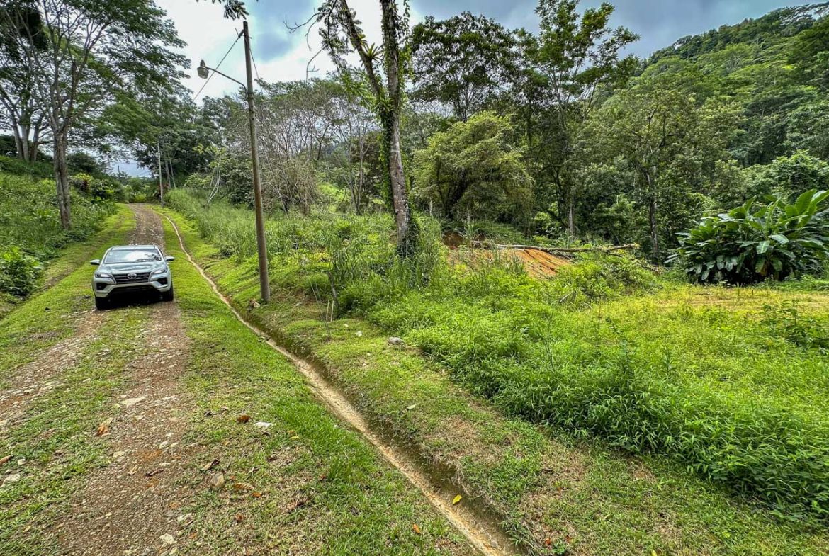 BUILDING PROPERTY WITH PUBLIC ROAD IN FRONT AND FRUIT TREES, IN TORTUGA ARRIBA – 0.30 ACRES
