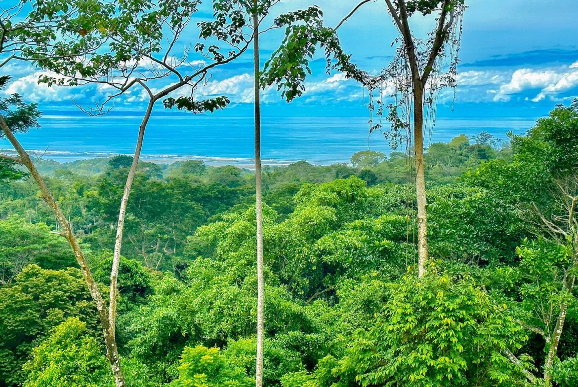 BUILDING PROPERTY WITH AMAZING PANORAMIC OF THE OCEAN, IN TORTUGA ARRIBA PHASE 6 – 0.21 ACRES