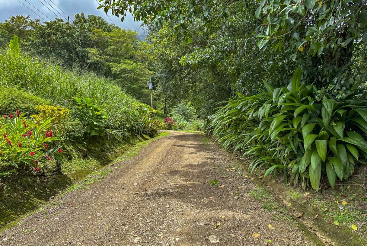 BUILDING PROPERTY WITH PUBLIC ROAD IN FRONT AND FRUIT TREES, IN TORTUGA ARRIBA – 0.30 ACRES