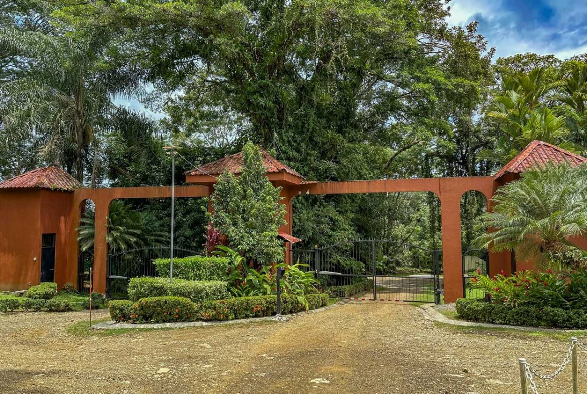 BUILDING PROPERTY WITH PUBLIC ROAD IN FRONT AND FRUIT TREES, IN TORTUGA ARRIBA – 0.30 ACRES