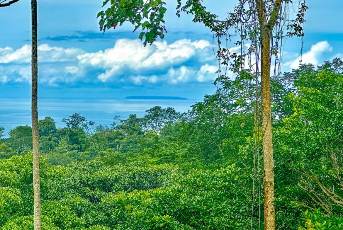 BUILDING PROPERTY WITH AMAZING PANORAMIC OF THE OCEAN, IN TORTUGA ARRIBA PHASE 6 – 0.21 ACRES