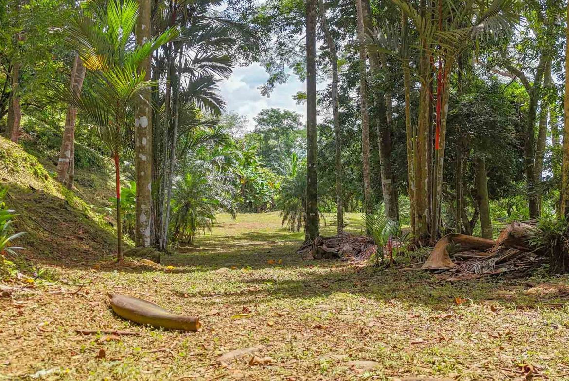 BUILDING PROPERTY WITH PANORAMIC VIEWS OF THE OCEAN AND VALLEY, IN UVITA – 1.4 ACRES