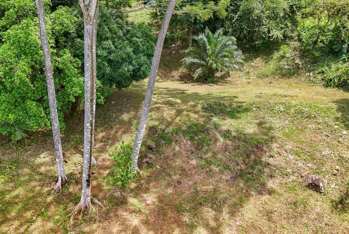 BUILDING PROPERTY WITH PANORAMIC VIEWS OF THE OCEAN AND VALLEY, IN UVITA – 1.4 ACRES