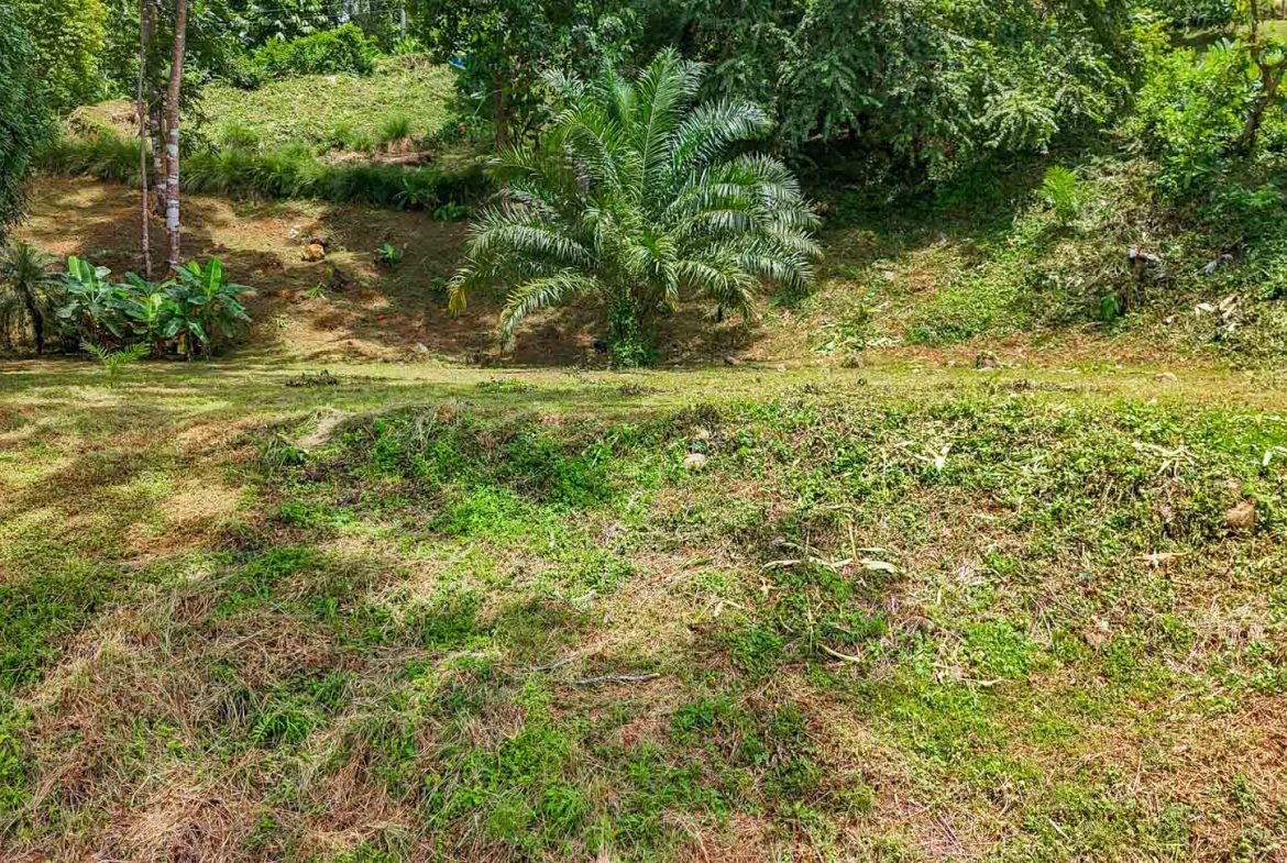 BUILDING PROPERTY WITH PANORAMIC VIEWS OF THE OCEAN AND VALLEY, IN UVITA – 1.4 ACRES