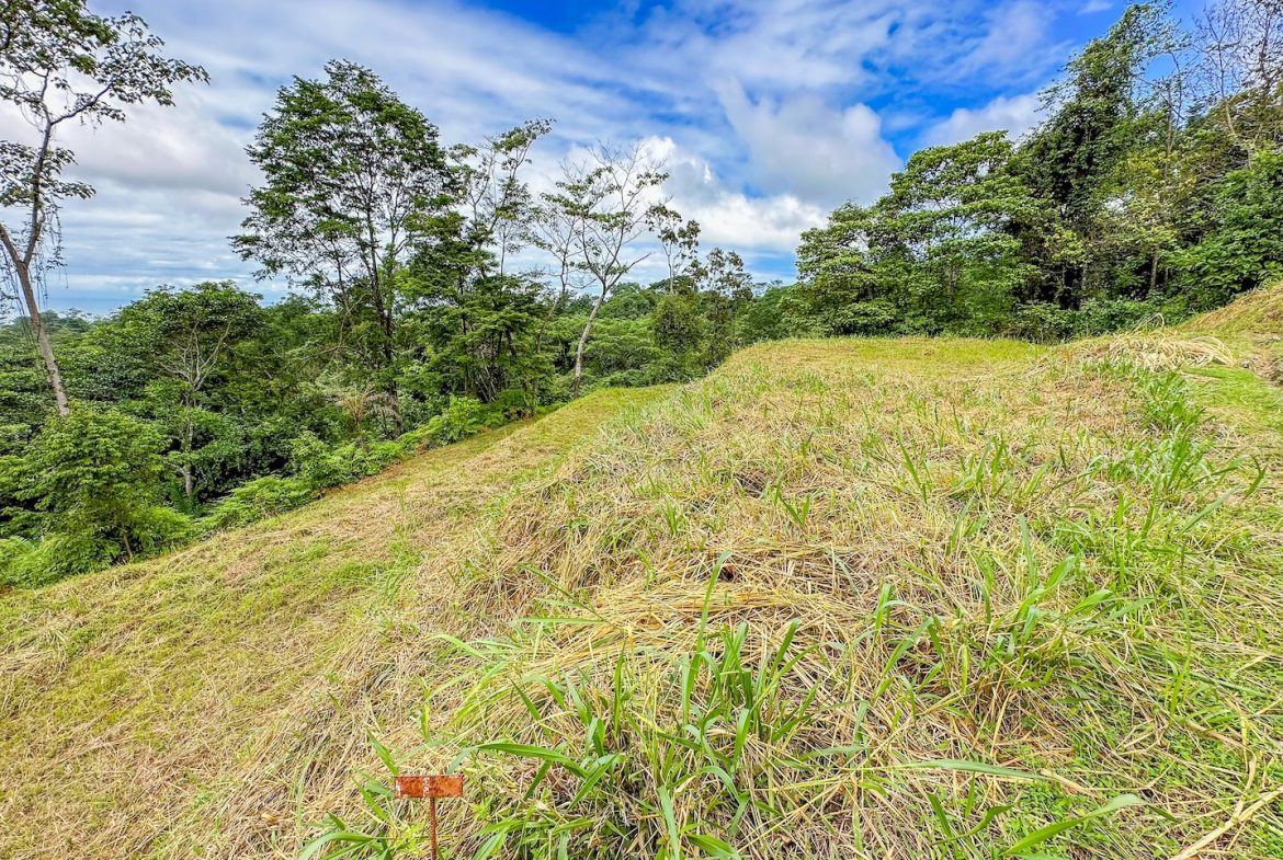 BUILDING PROPERTY WITH AMAZING PANORAMIC OF THE OCEAN, IN TORTUGA ARRIBA PHASE 6 – 0.21 ACRES