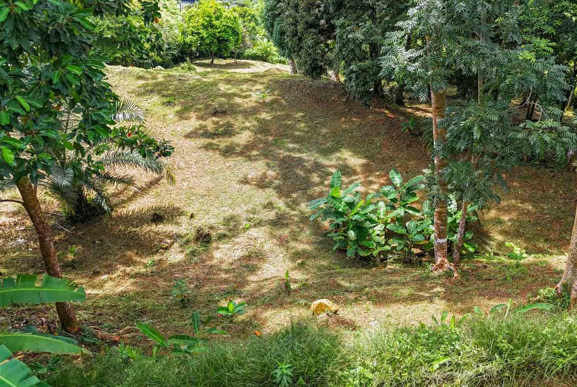BUILDING PROPERTY WITH PANORAMIC VIEWS OF THE OCEAN AND VALLEY, IN UVITA – 1.4 ACRES