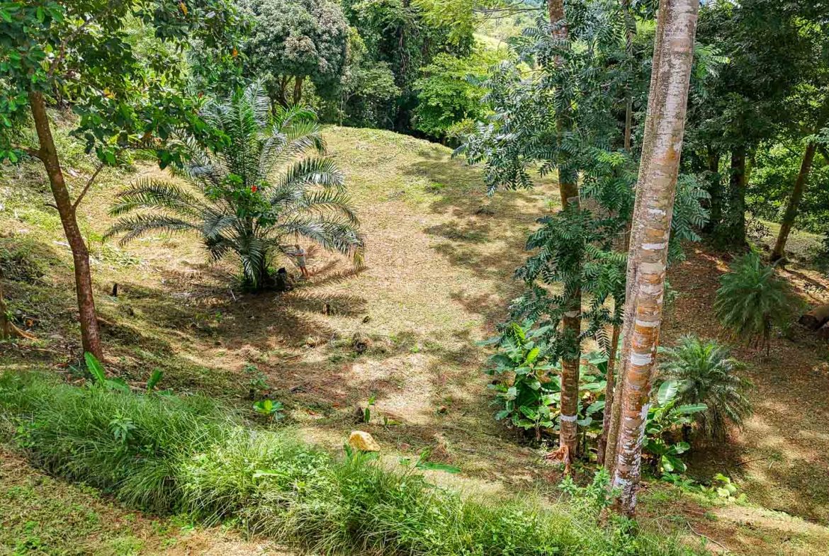 BUILDING PROPERTY WITH PANORAMIC VIEWS OF THE OCEAN AND VALLEY, IN UVITA – 1.4 ACRES