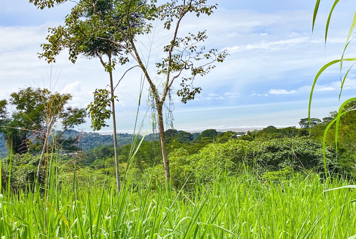 BUILDING PROPERTY WITH AMAZING PANORAMIC OF THE OCEAN, IN TORTUGA ARRIBA PHASE 6 – 0.21 ACRES