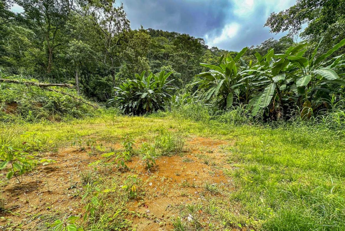 BUILDING PROPERTY WITH PUBLIC ROAD IN FRONT AND FRUIT TREES, IN TORTUGA ARRIBA – 0.30 ACRES