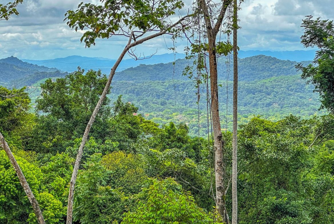 BUILDING PROPERTY WITH AMAZING PANORAMIC OF THE OCEAN, IN TORTUGA ARRIBA PHASE 6 – 0.21 ACRES