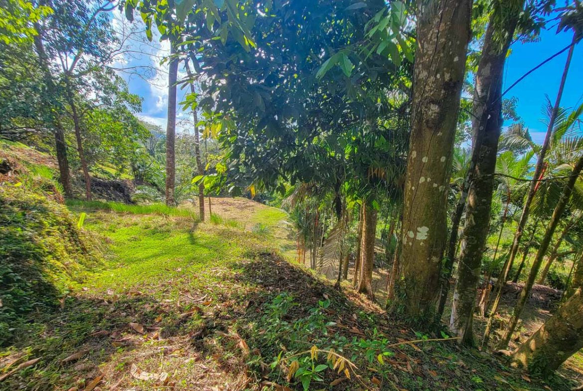 BUILDING PROPERTY WITH PANORAMIC VIEWS OF THE OCEAN AND VALLEY, IN UVITA – 1.4 ACRES