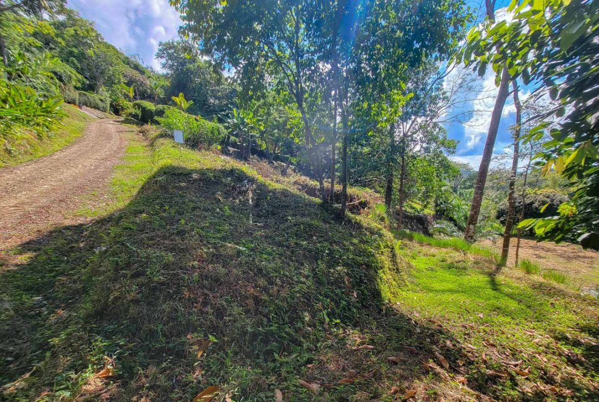 BUILDING PROPERTY WITH PANORAMIC VIEWS OF THE OCEAN AND VALLEY, IN UVITA – 1.4 ACRES