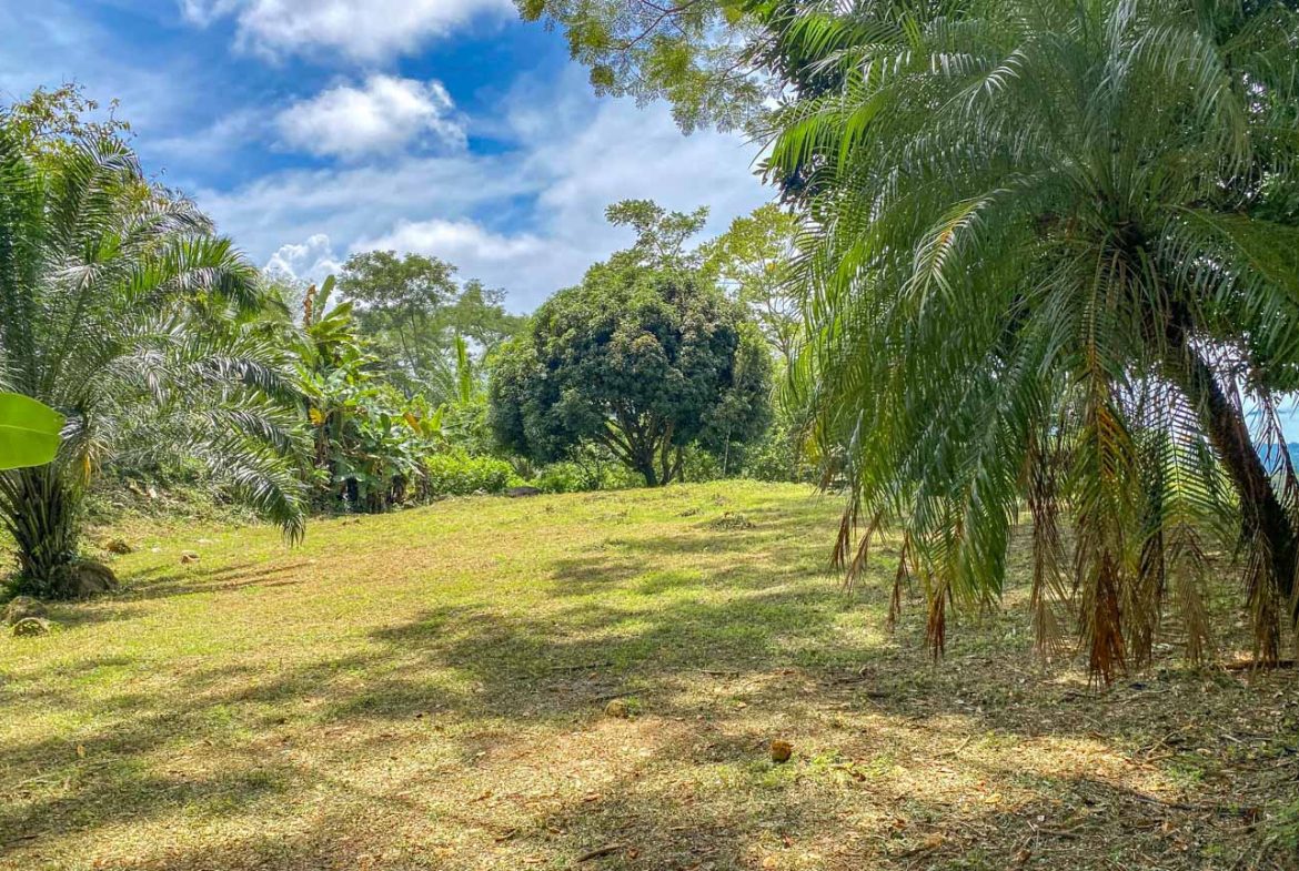 BUILDING PROPERTY WITH PANORAMIC VIEWS OF THE OCEAN AND VALLEY, IN UVITA – 1.4 ACRES