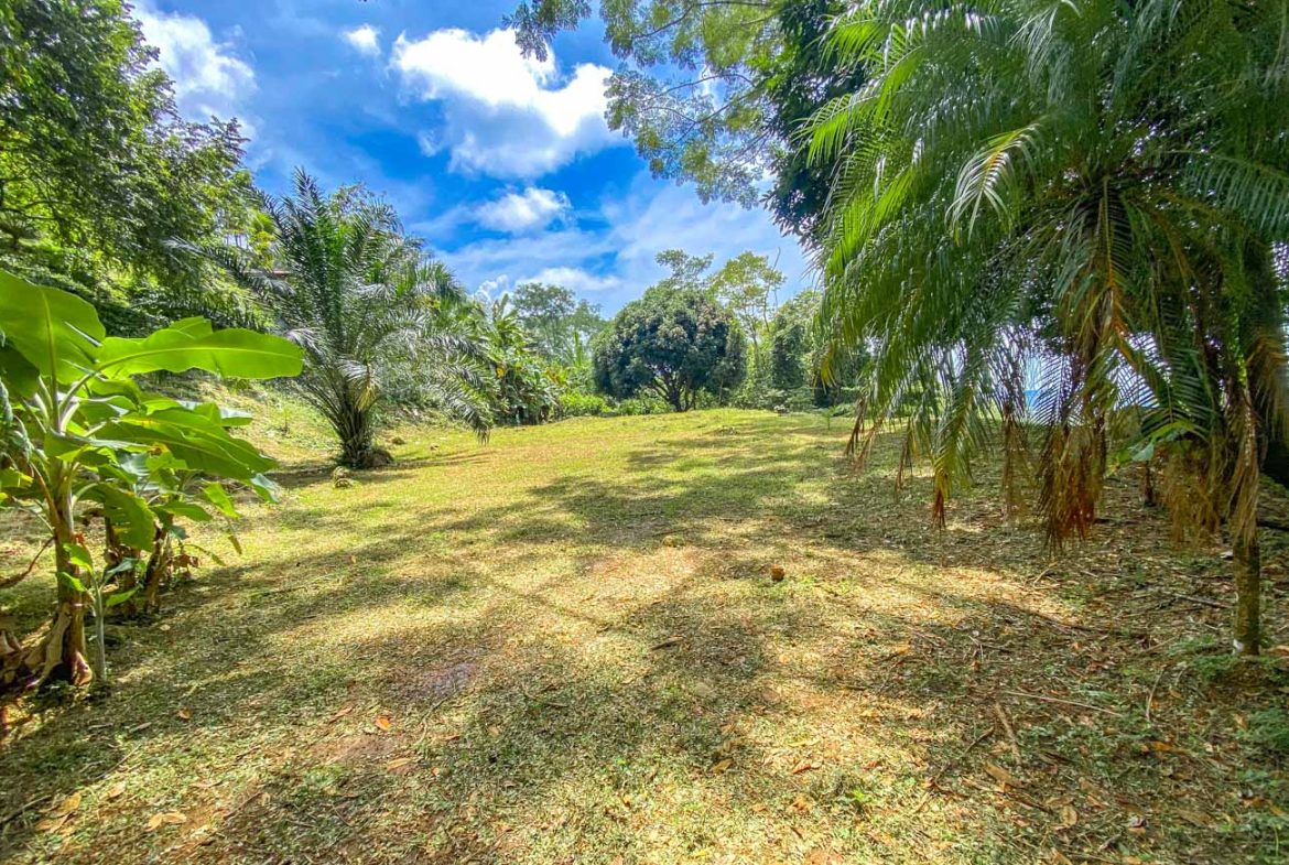 BUILDING PROPERTY WITH PANORAMIC VIEWS OF THE OCEAN AND VALLEY, IN UVITA – 1.4 ACRES