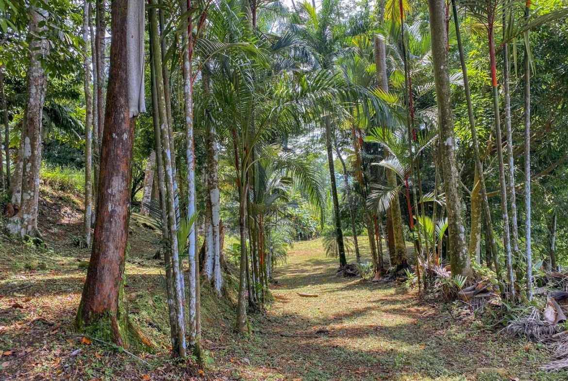 BUILDING PROPERTY WITH PANORAMIC VIEWS OF THE OCEAN AND VALLEY, IN UVITA – 1.4 ACRES