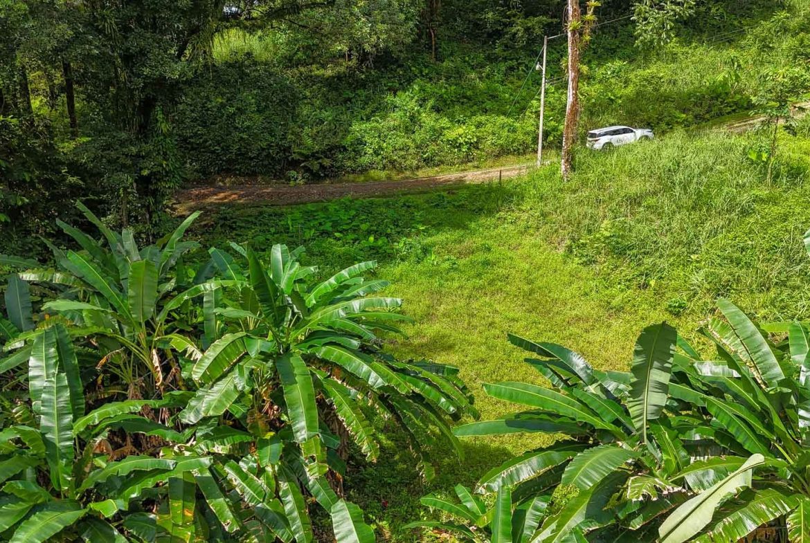 BUILDING PROPERTY WITH PUBLIC ROAD IN FRONT AND FRUIT TREES, IN TORTUGA ARRIBA – 0.30 ACRES