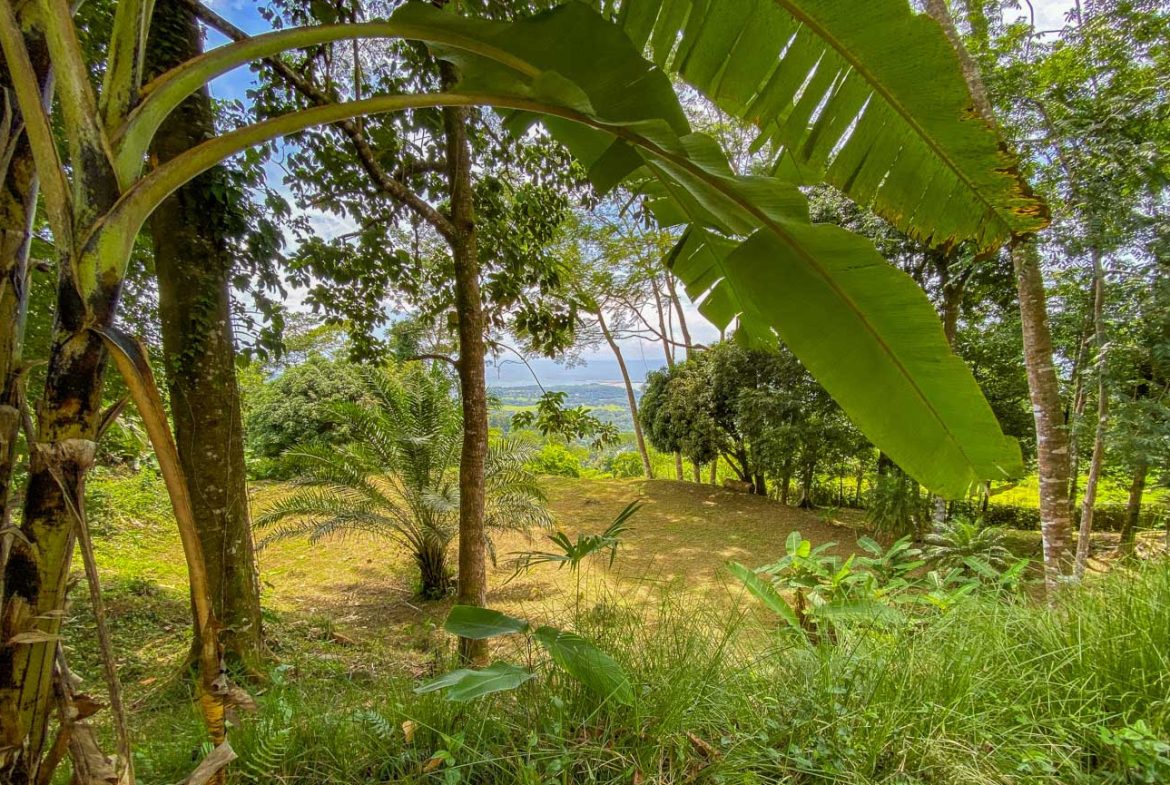 BUILDING PROPERTY WITH PANORAMIC VIEWS OF THE OCEAN AND VALLEY, IN UVITA – 1.4 ACRES