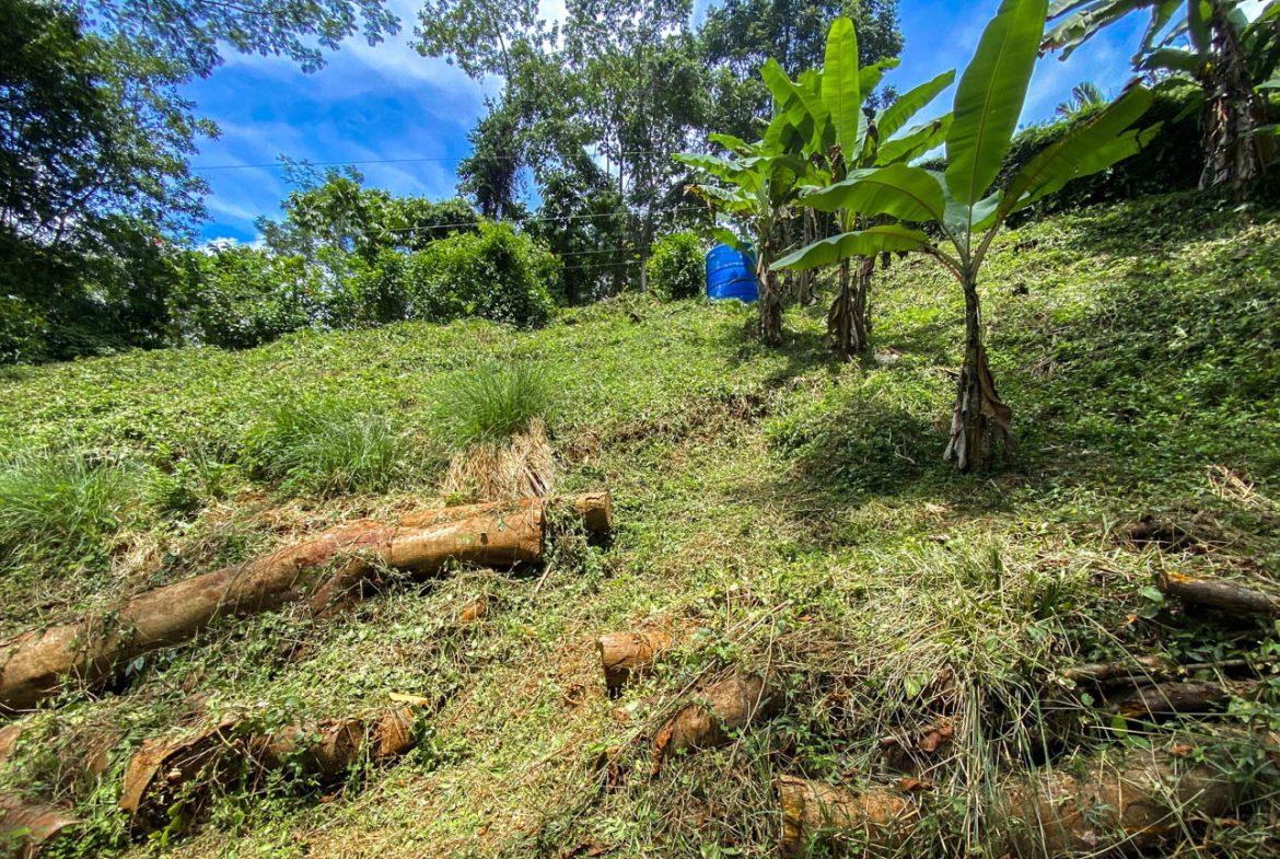 BUILDING PROPERTY WITH PANORAMIC VIEWS OF THE OCEAN AND VALLEY, IN UVITA – 1.4 ACRES