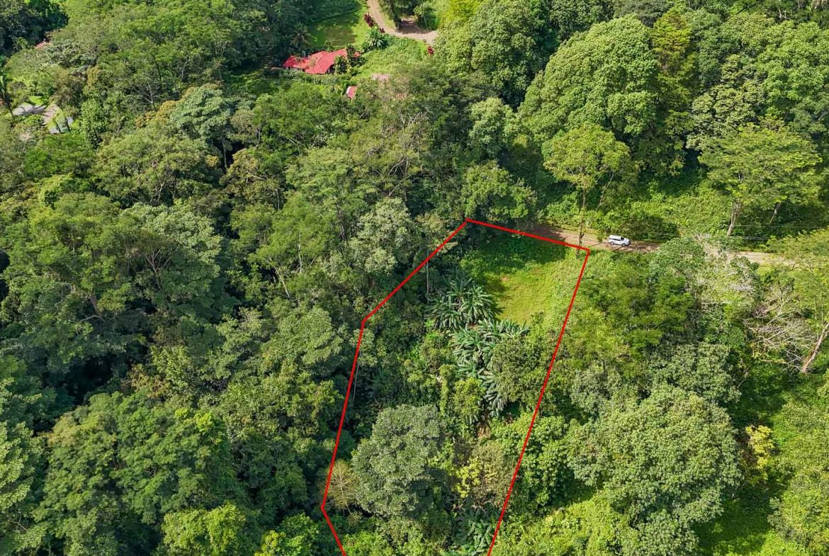 BUILDING PROPERTY WITH PUBLIC ROAD IN FRONT AND FRUIT TREES, IN TORTUGA ARRIBA – 0.30 ACRES