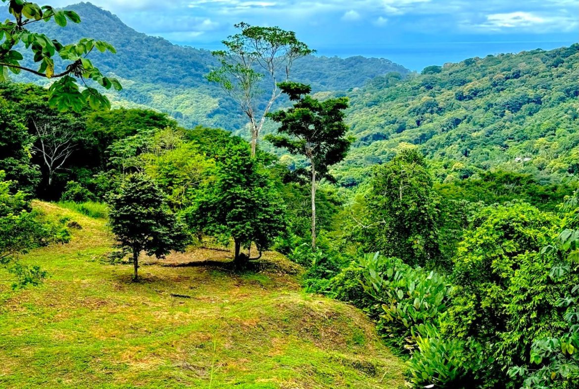 BUILDING PROPERTY WITH SUNSET VIEWS AND PANORAMIC VIEWS OF THE VALLEY, IN LAGUNAS DE BARU – 4.76 ACRES