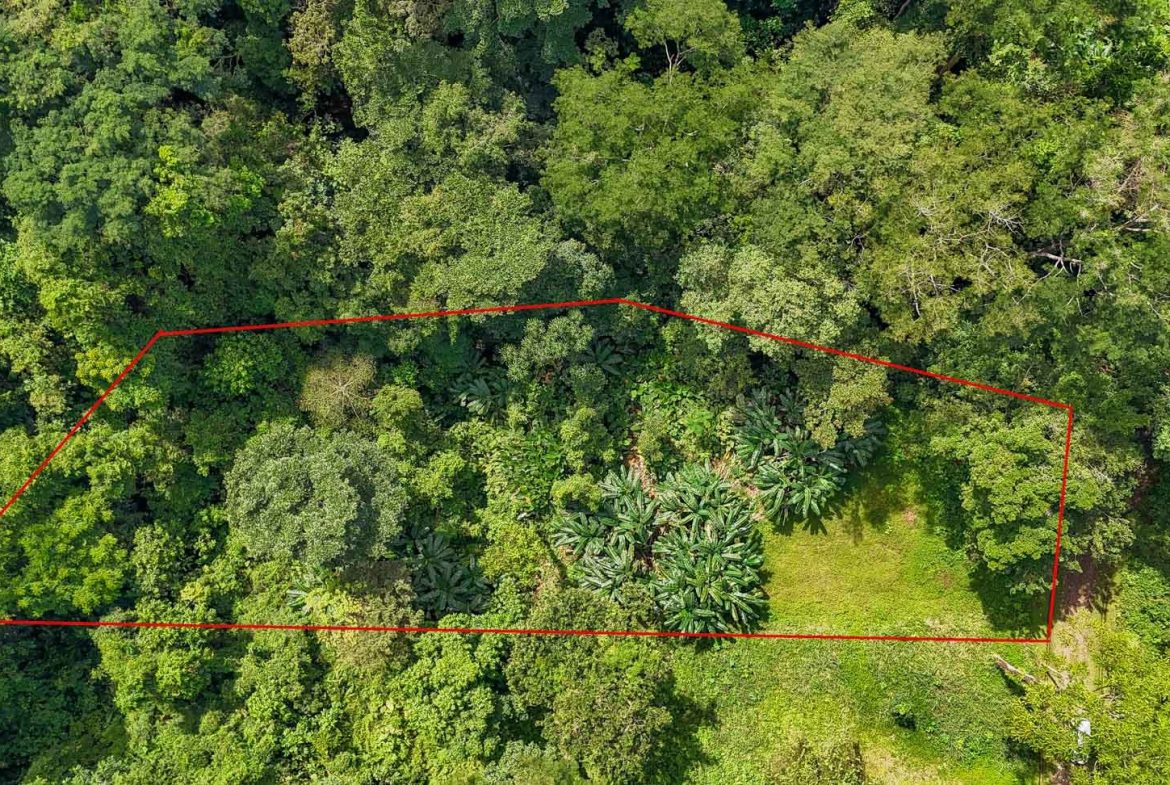 BUILDING PROPERTY WITH PUBLIC ROAD IN FRONT AND FRUIT TREES, IN TORTUGA ARRIBA – 0.30 ACRES