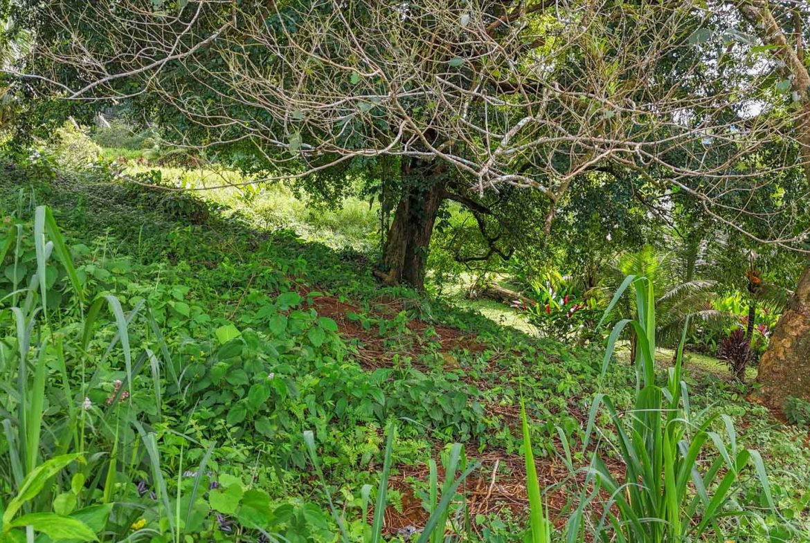 BUILDING PROPERTY WITH PUBLIC ROAD IN FRONT, IN TORTUGA ARRIBA – 0.16 ACRES