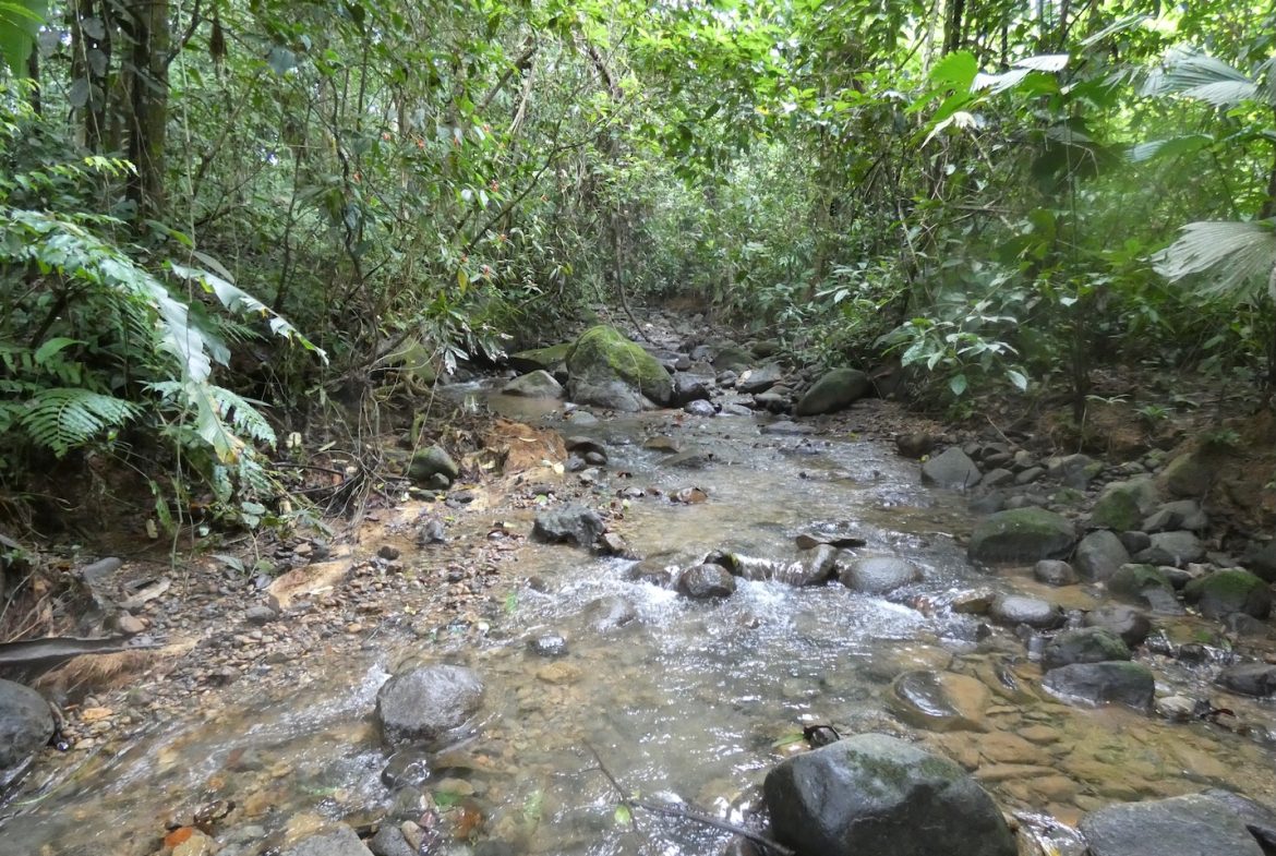 JUNGLE BUILDING PROPERTY NEAR TO THE CREEK, IN TORTUGA  ARRIBA – 2.41 ACRES