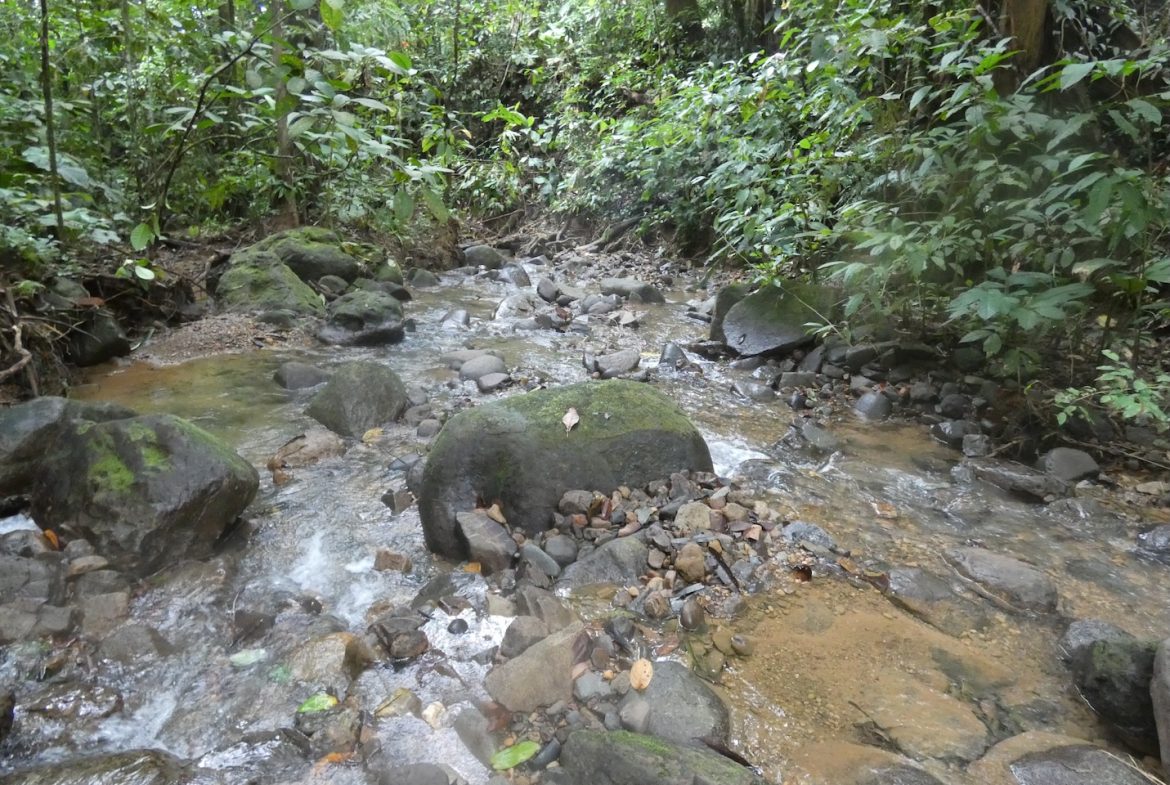 JUNGLE BUILDING PROPERTY NEAR TO THE CREEK, IN TORTUGA  ARRIBA – 2.41 ACRES