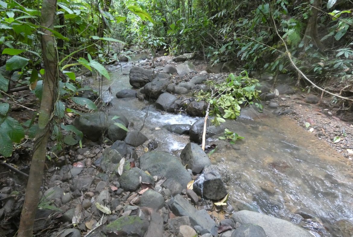 JUNGLE BUILDING PROPERTY NEAR TO THE CREEK, IN TORTUGA  ARRIBA – 2.41 ACRES