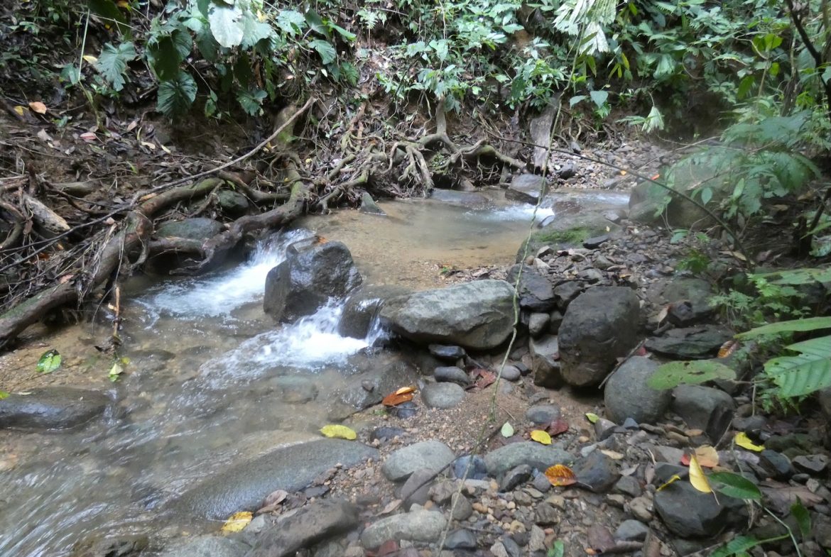 JUNGLE BUILDING PROPERTY NEAR TO THE CREEK, IN TORTUGA  ARRIBA – 2.41 ACRES