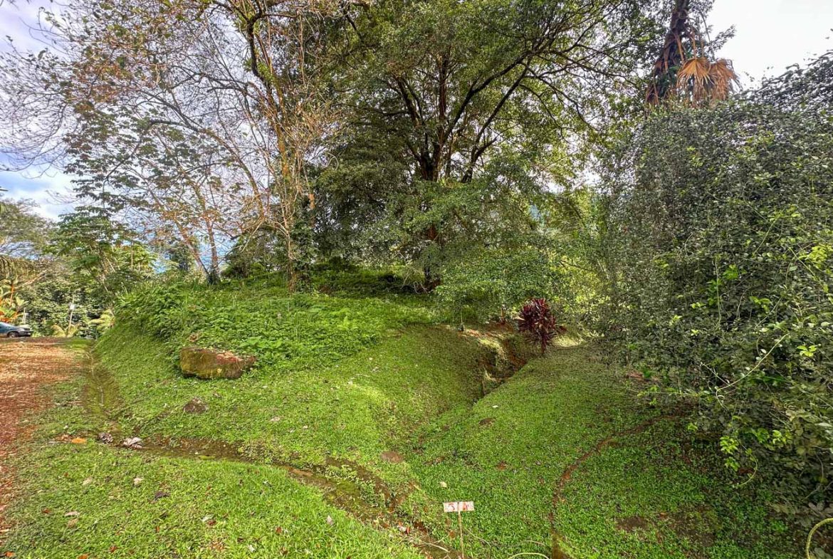 BUILDING PROPERTY WITH PUBLIC ROAD IN FRONT, IN TORTUGA ARRIBA – 0.16 ACRES