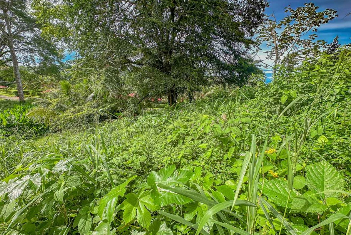 BUILDING PROPERTY WITH PUBLIC ROAD IN FRONT, IN TORTUGA ARRIBA – 0.16 ACRES