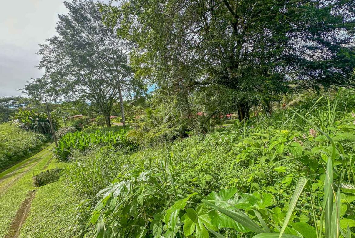 BUILDING PROPERTY WITH PUBLIC ROAD IN FRONT, IN TORTUGA ARRIBA – 0.16 ACRES
